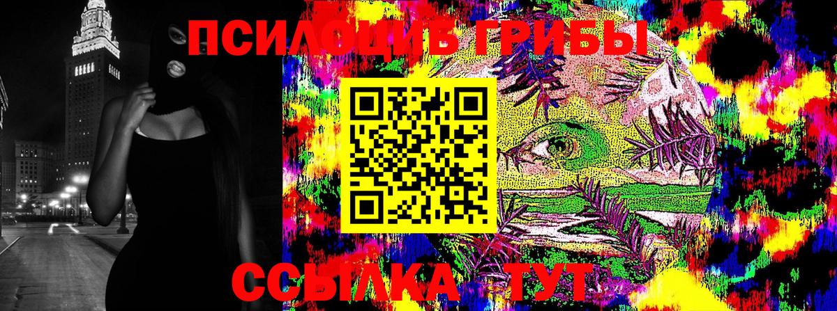 Псилоцибиновые грибы GOLDEN TEACHER Подольск